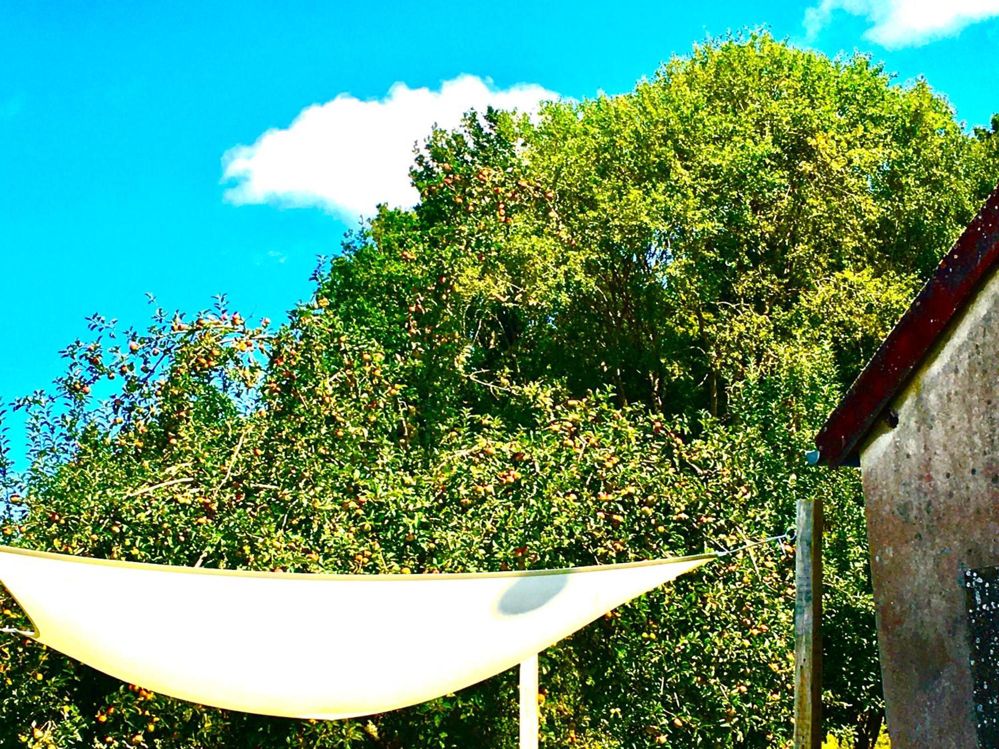 La Mirabelle Bed & Breakfast Saint-Pierre-de-Fursac ภายนอก รูปภาพ